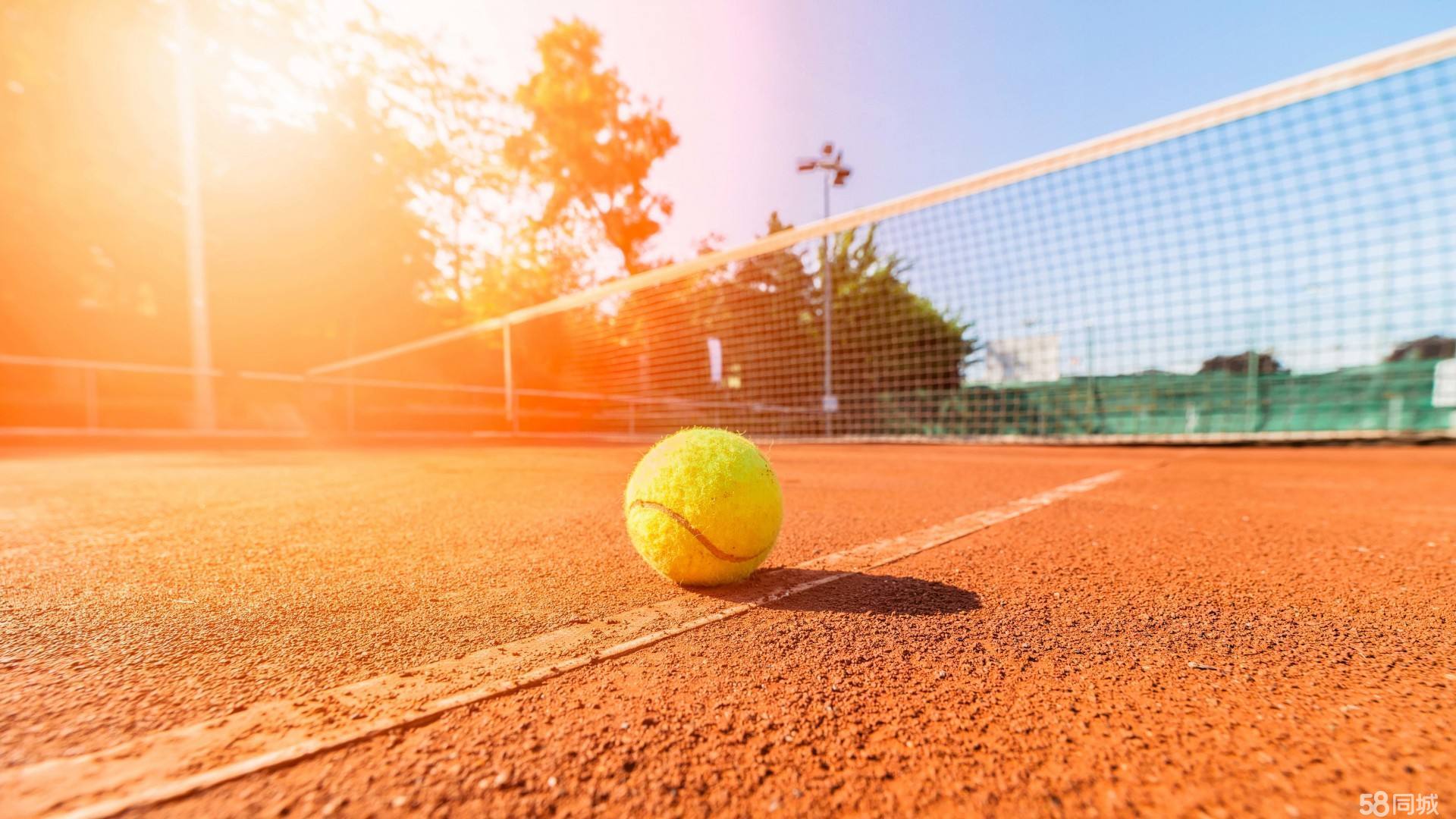 在体育界 在体育界