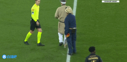 无疑为其他 无疑为其他