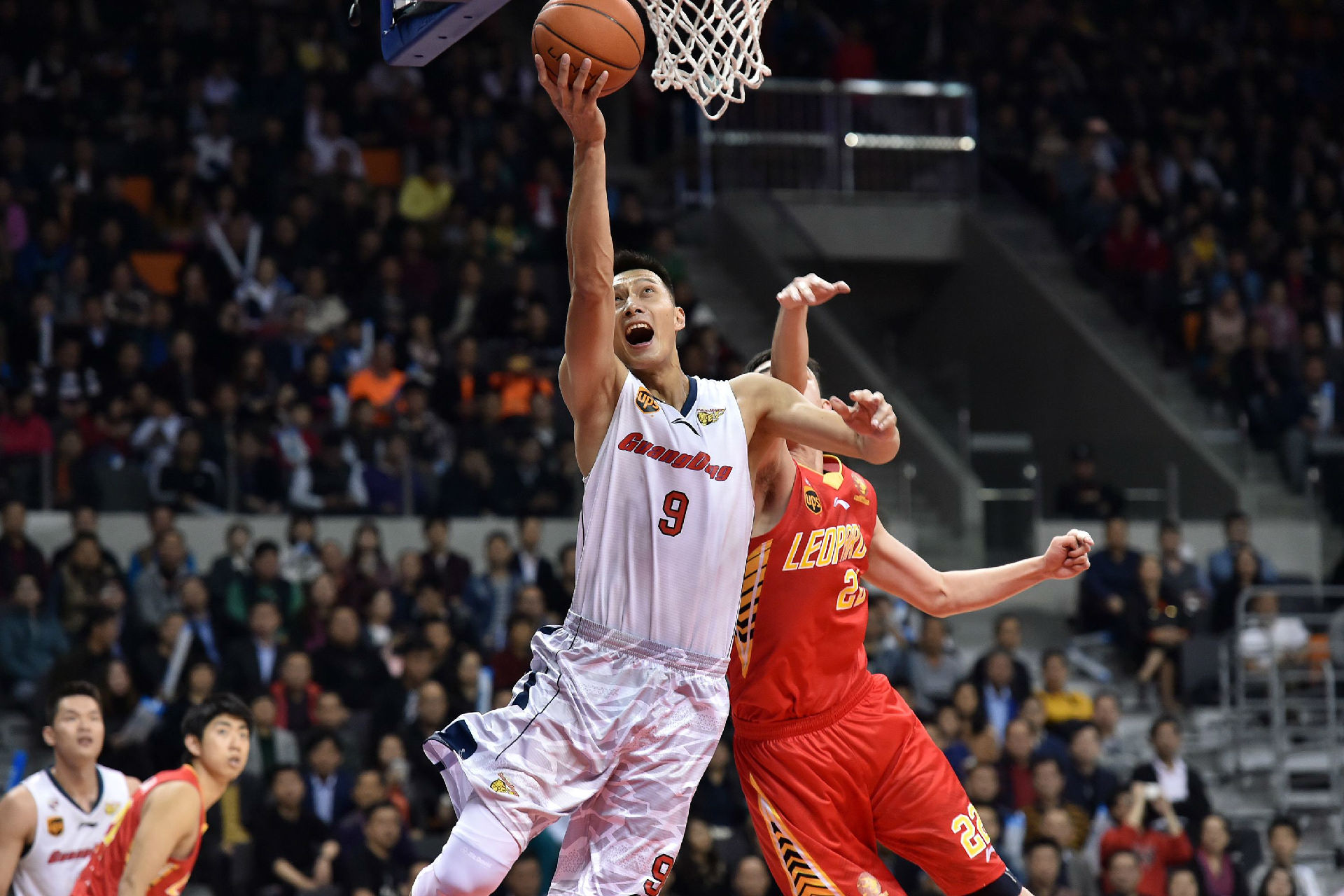 育文化发展 育文化发展