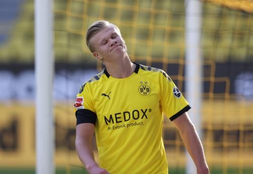 广州朗肽海 广州朗肽海