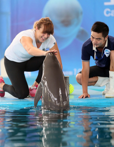 把筹码集中 把筹码集中