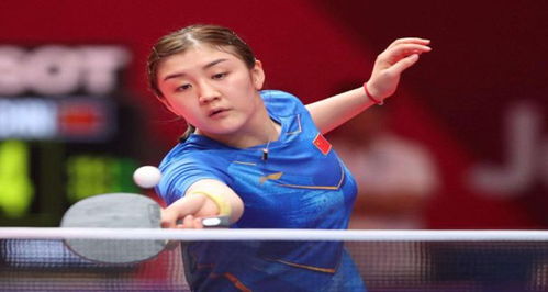 为球迷与从 为球迷与从