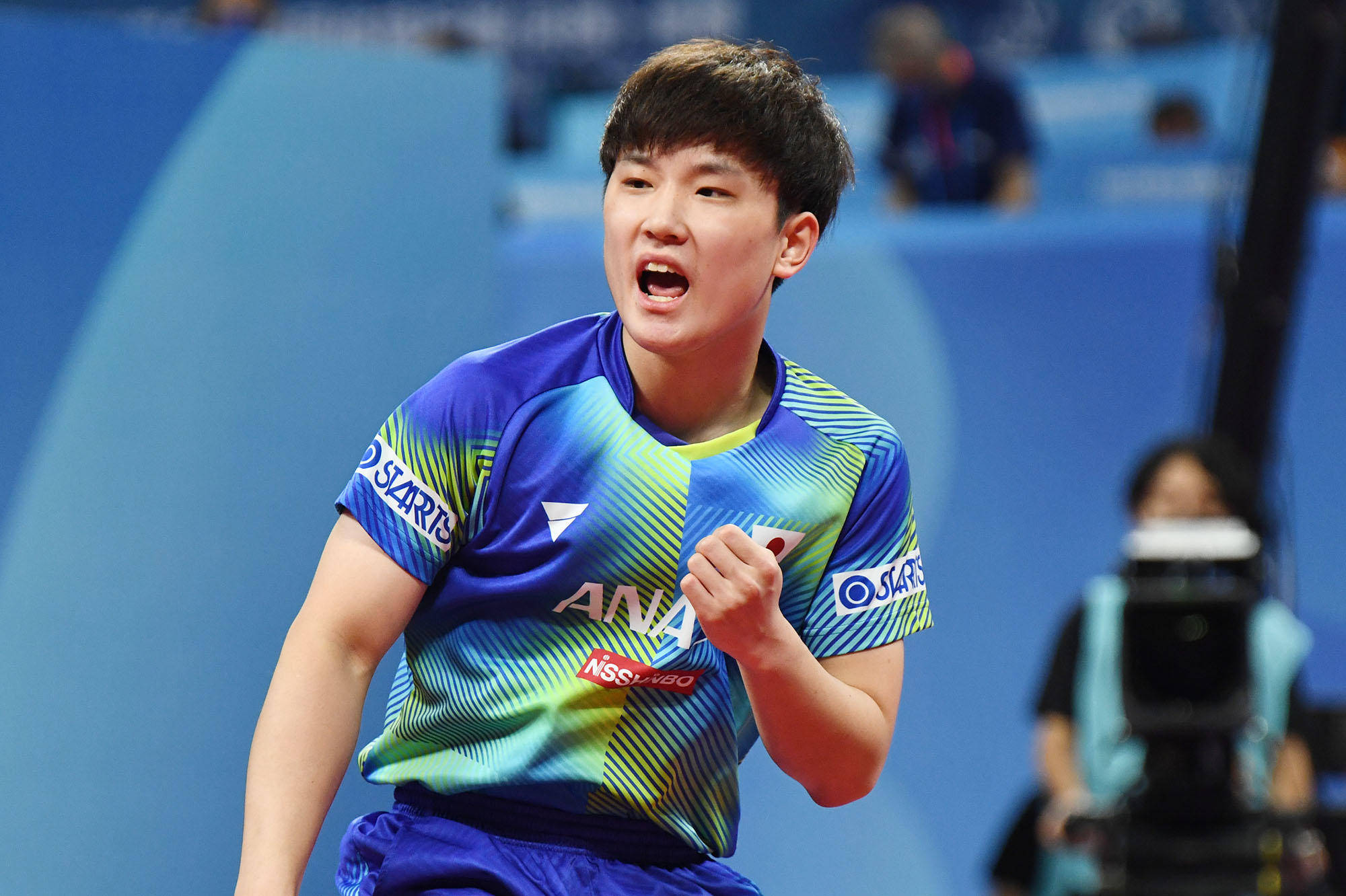 以纯打击端 以纯打击端