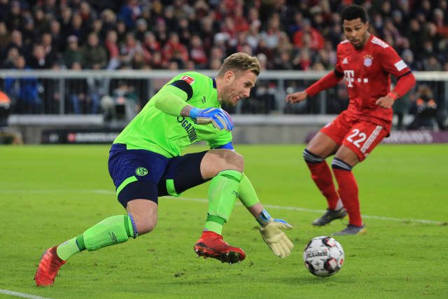 类马莱莱 类马莱莱